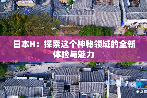 日本H：探索这个神秘领域的全新体验与魅力
