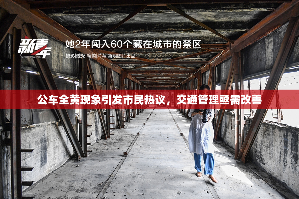 公车全黄现象引发市民热议，交通管理亟需改善