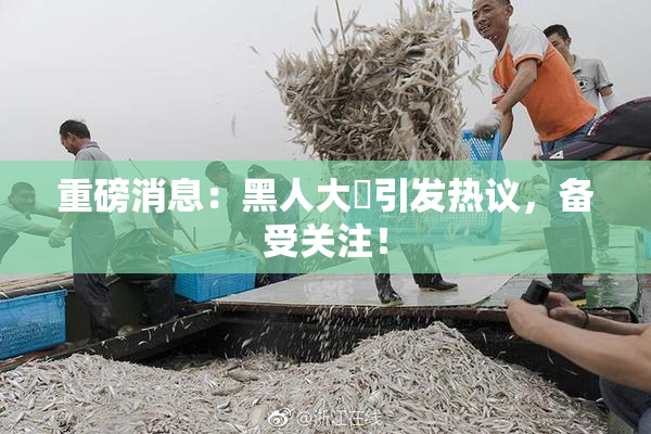 重磅消息：黑人大鷄引发热议，备受关注！