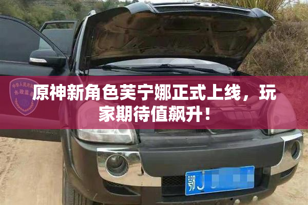 原神新角色芙宁娜正式上线，玩家期待值飙升！