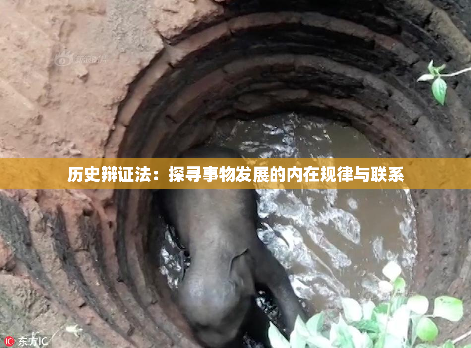 历史辩证法：探寻事物发展的内在规律与联系
