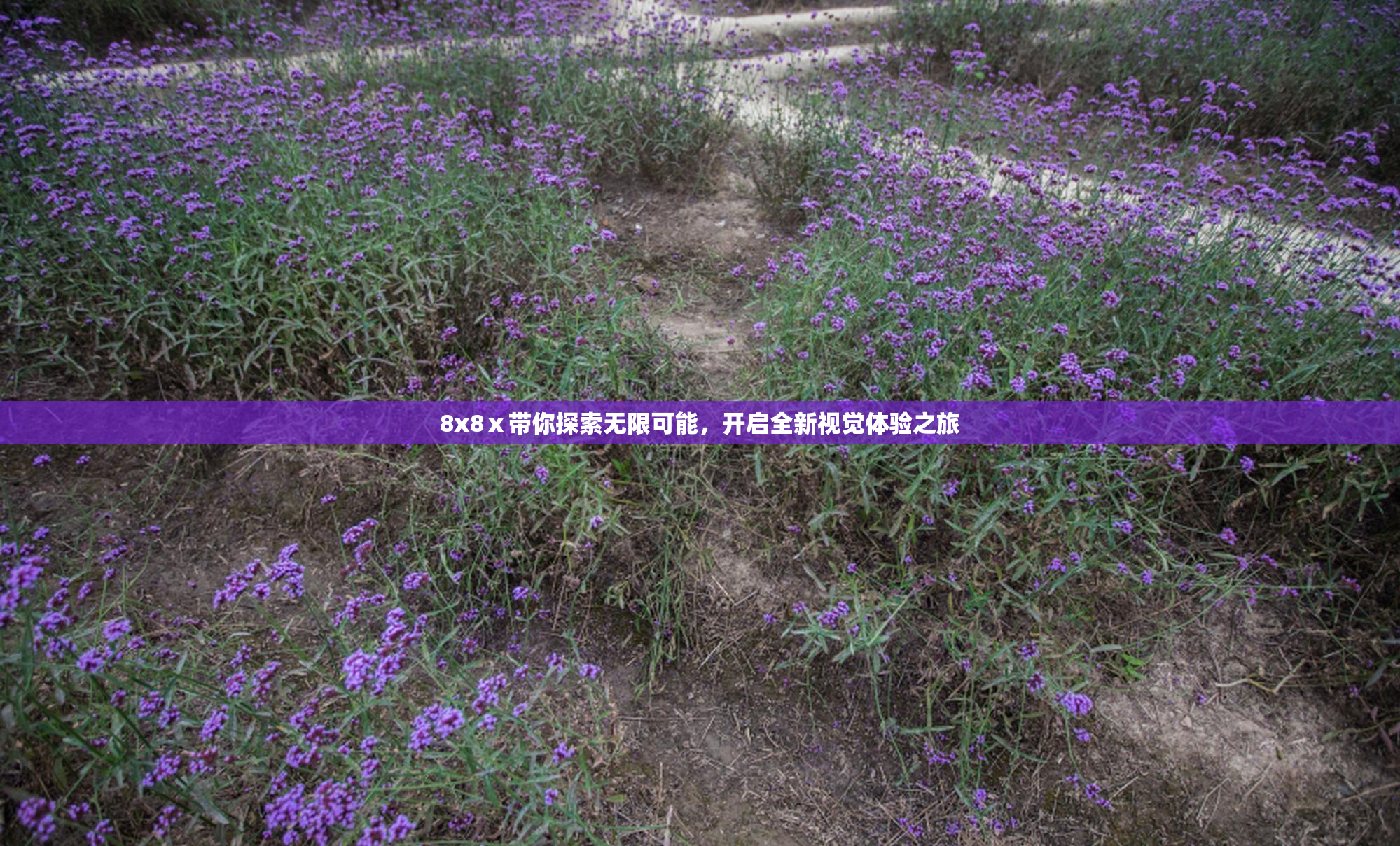 8x8ⅹ带你探索无限可能，开启全新视觉体验之旅