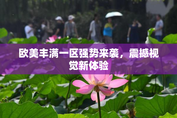 欧美丰满一区强势来袭，震撼视觉新体验