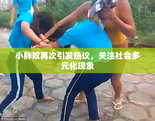 小胖奴再次引发热议，关注社会多元化现象