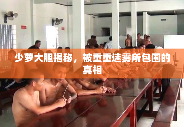 少萝大胆揭秘，被重重迷雾所包围的真相
