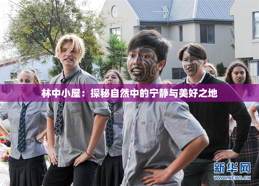 林中小屋：探秘自然中的宁静与美好之地