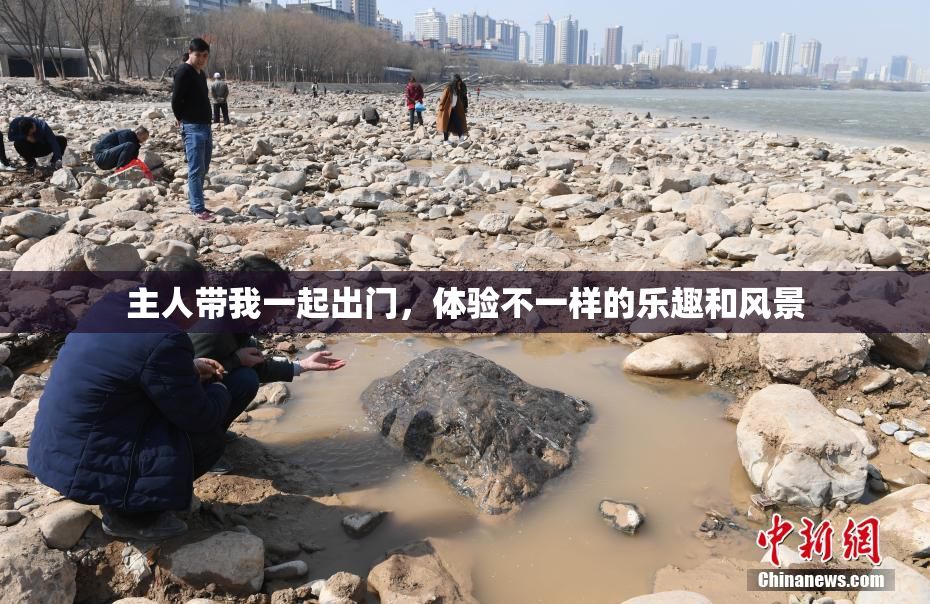 主人带我一起出门，体验不一样的乐趣和风景