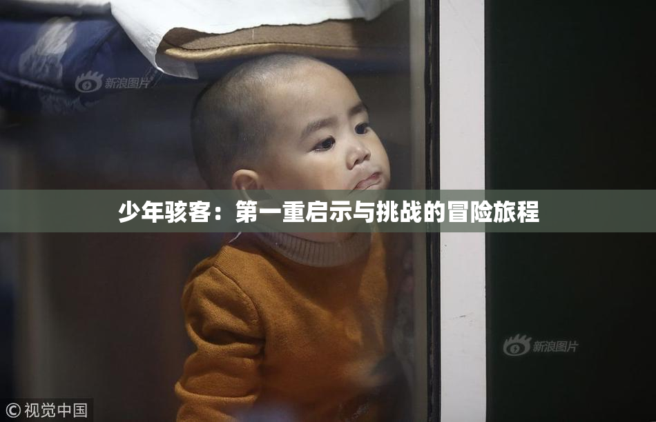 少年骇客：第一重启示与挑战的冒险旅程