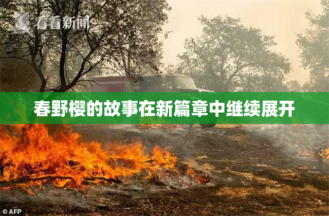 春野樱的故事在新篇章中继续展开