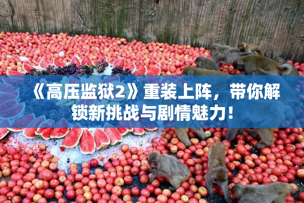 《高压监狱2》重装上阵，带你解锁新挑战与剧情魅力！