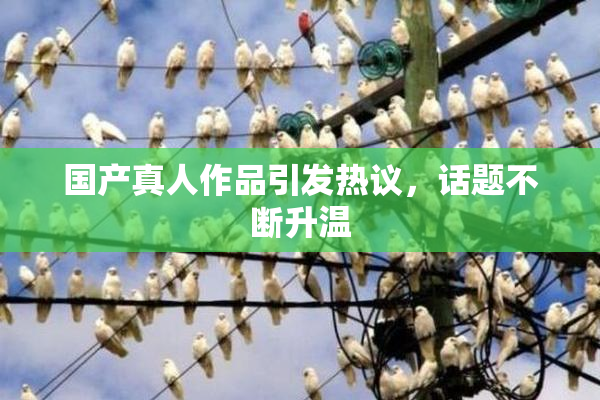 国产真人作品引发热议，话题不断升温