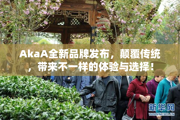 AkaA全新品牌发布，颠覆传统，带来不一样的体验与选择！
