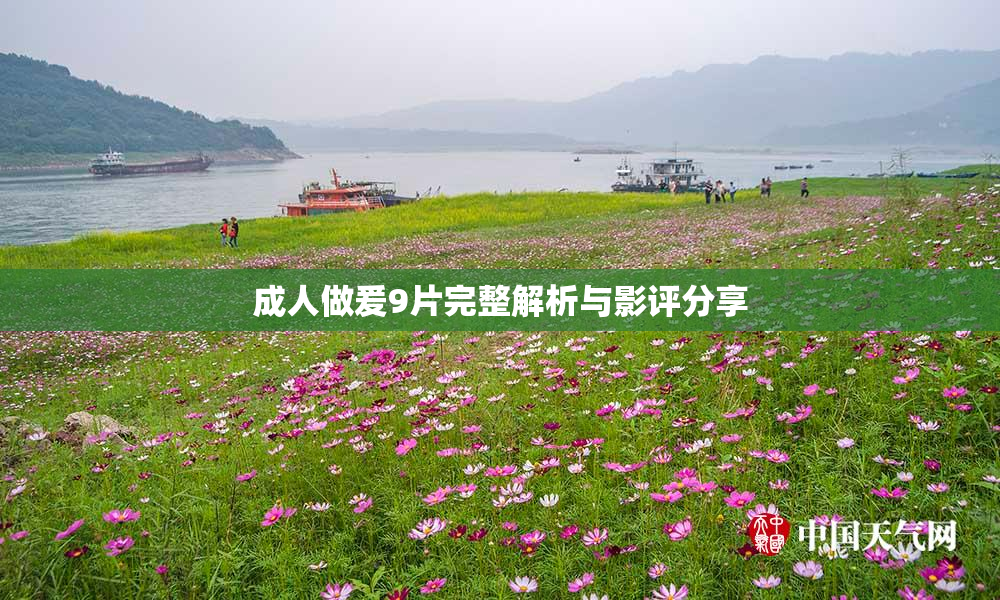 成人做爰9片完整解析与影评分享