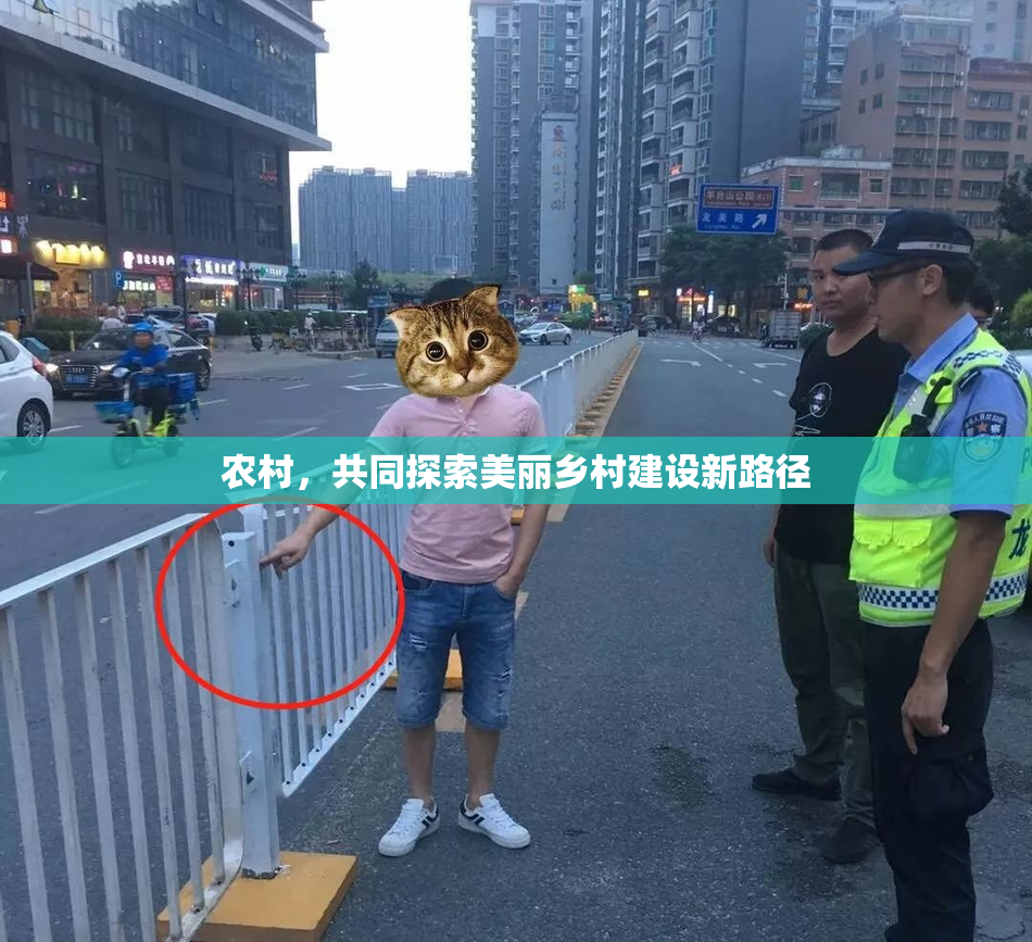 农村，共同探索美丽乡村建设新路径