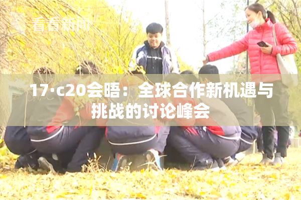 17·c20会晤：全球合作新机遇与挑战的讨论峰会