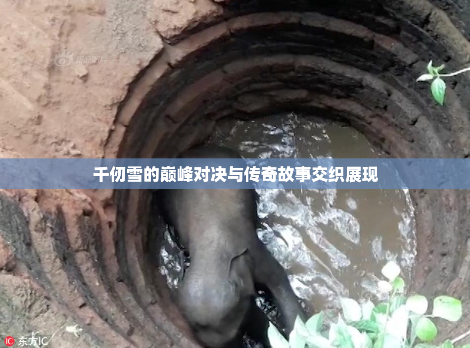 千仞雪的巅峰对决与传奇故事交织展现
