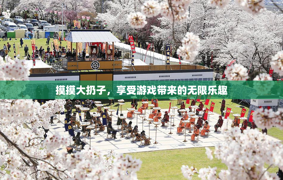 摸摸大扔子，享受游戏带来的无限乐趣