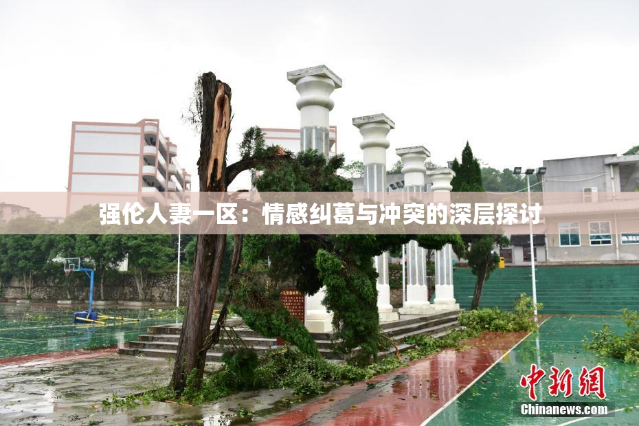 强伦人妻一区：情感纠葛与冲突的深层探讨