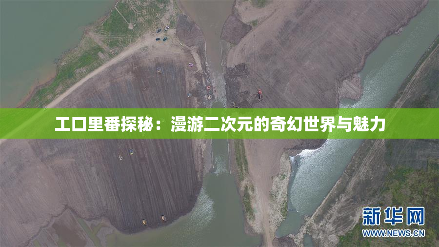 工口里番探秘：漫游二次元的奇幻世界与魅力