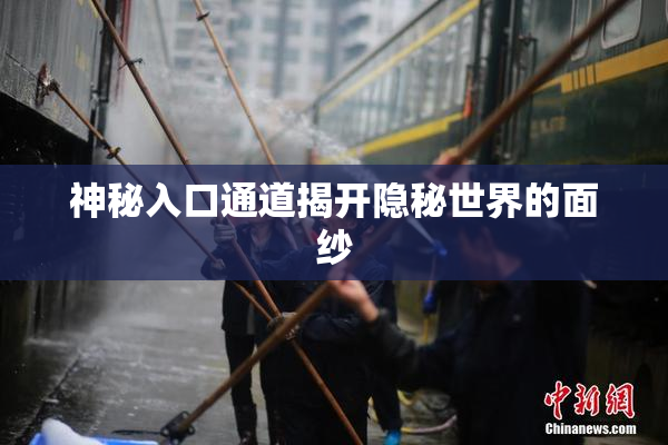 神秘入口通道揭开隐秘世界的面纱