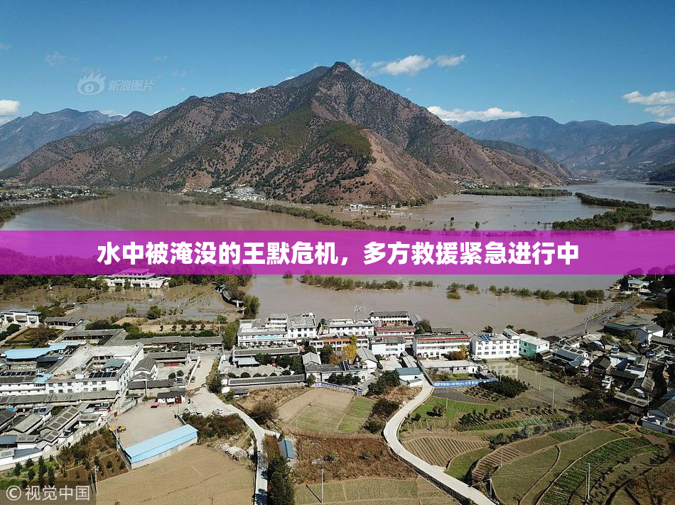 水中被淹没的王默危机，多方救援紧急进行中
