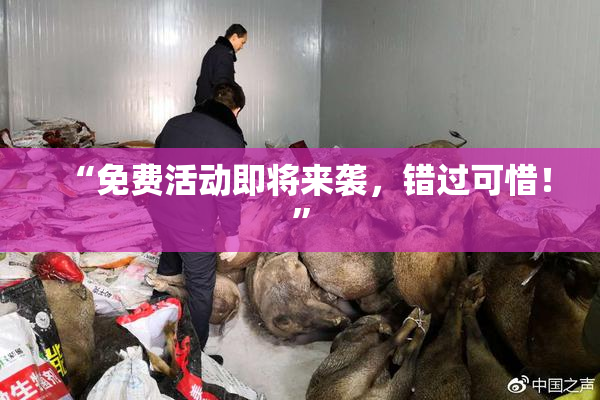 “免费活动即将来袭，错过可惜！”