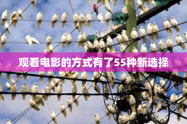 观看电影的方式有了55种新选择