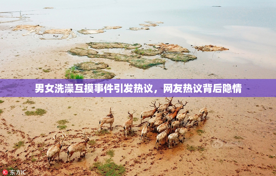 男女洗澡互摸事件引发热议，网友热议背后隐情