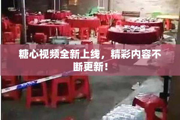 糖心视频全新上线，精彩内容不断更新！