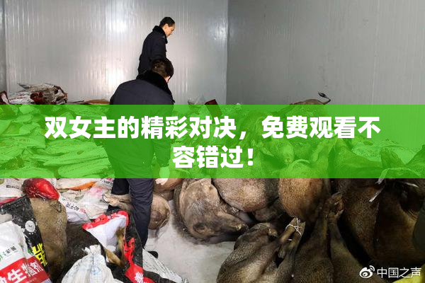 双女主的精彩对决，免费观看不容错过！