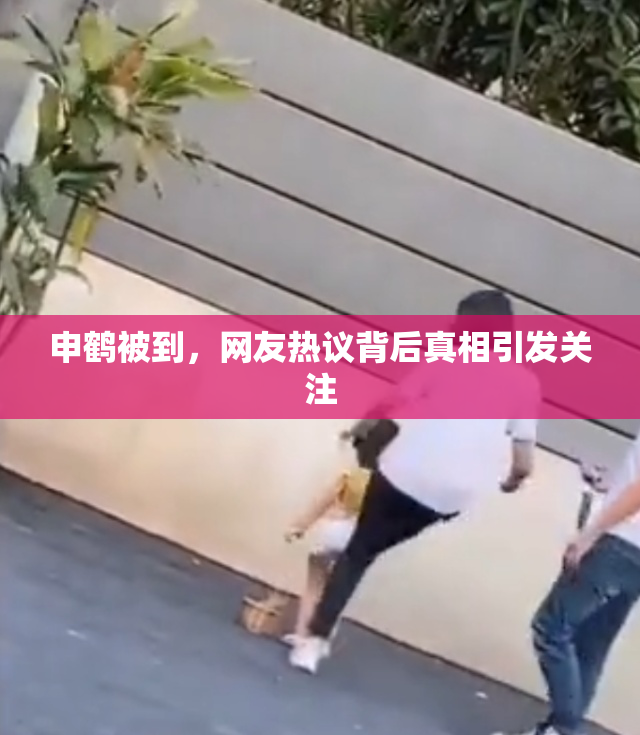 申鹤被到，网友热议背后真相引发关注