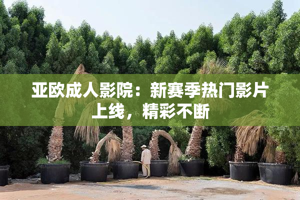 亚欧成人影院：新赛季热门影片上线，精彩不断