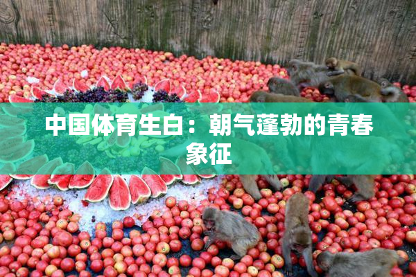 中国体育生白：朝气蓬勃的青春象征