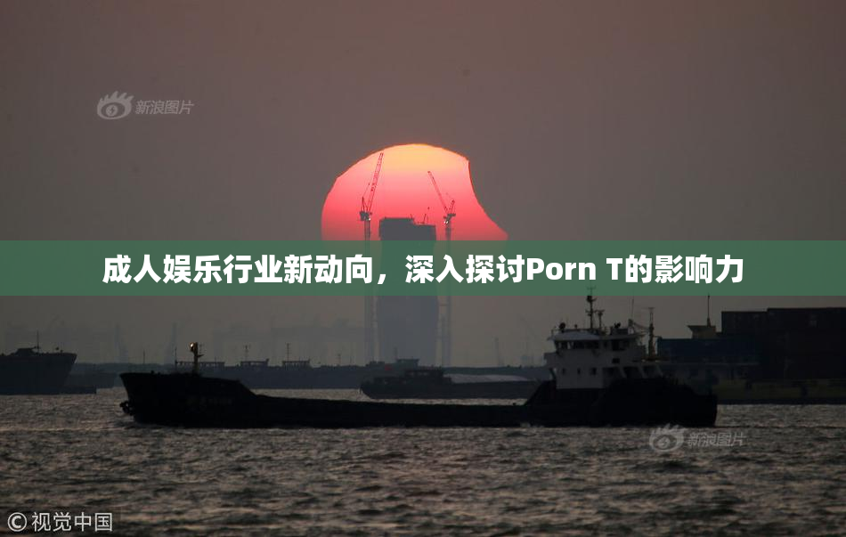 成人娱乐行业新动向，深入探讨Porn T的影响力