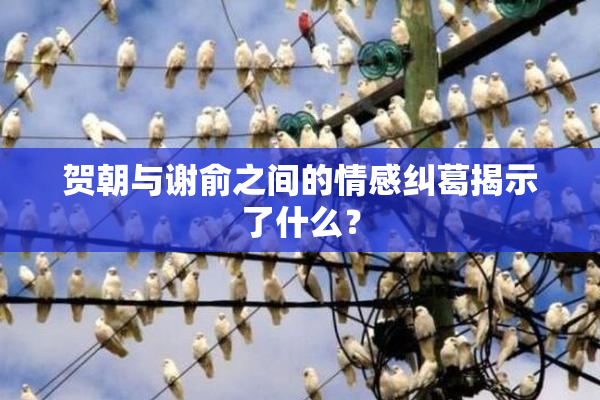 贺朝与谢俞之间的情感纠葛揭示了什么？