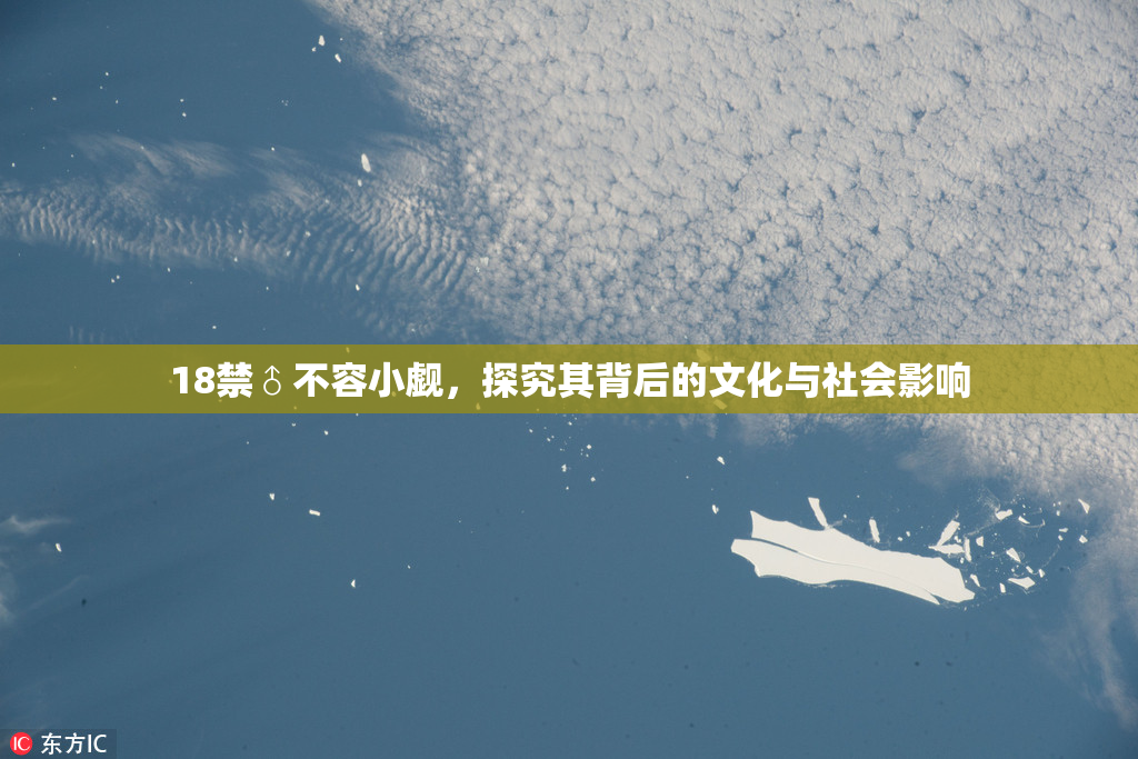 18禁♂不容小觑，探究其背后的文化与社会影响
