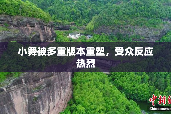 小舞被多重版本重塑，受众反应热烈