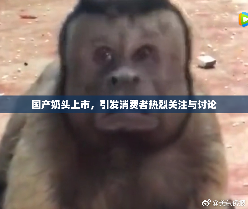 国产奶头上市，引发消费者热烈关注与讨论