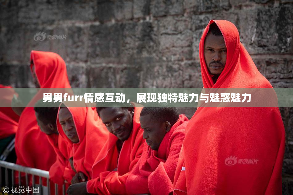 男男furr情感互动，展现独特魅力与魅惑魅力