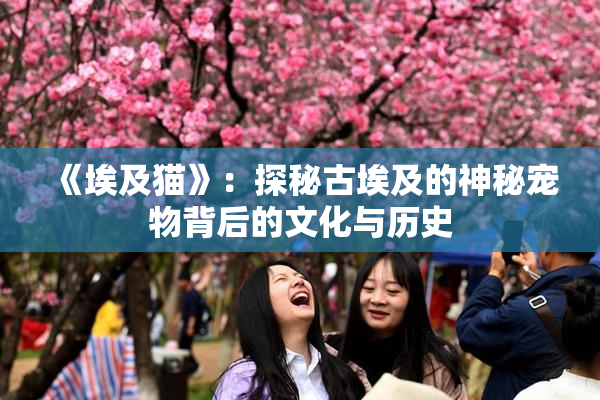 《埃及猫》：探秘古埃及的神秘宠物背后的文化与历史