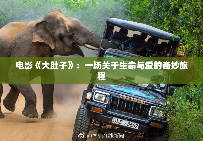电影《大肚子》：一场关于生命与爱的奇妙旅程