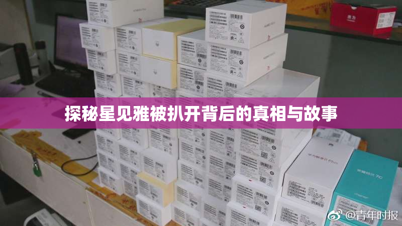 探秘星见雅被扒开背后的真相与故事