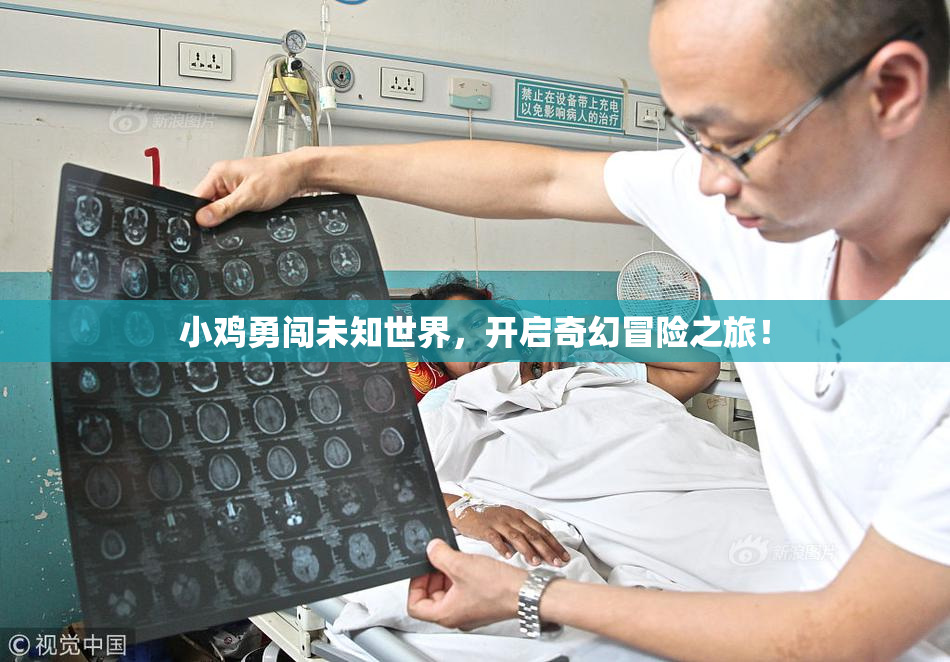 小鸡勇闯未知世界，开启奇幻冒险之旅！