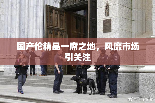 国产伦精品一席之地，风靡市场引关注