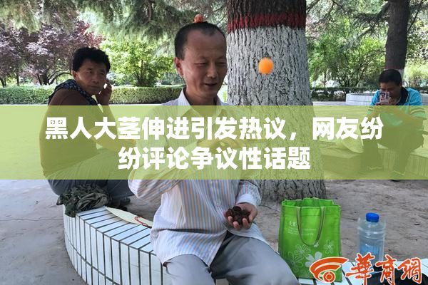 黑人大茎伸进引发热议，网友纷纷评论争议性话题