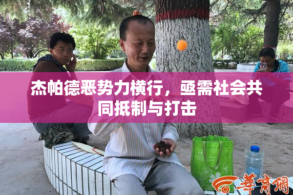 杰帕德恶势力横行，亟需社会共同抵制与打击