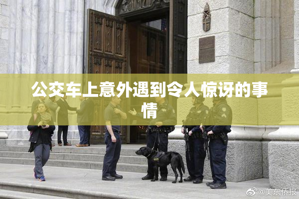公交车上意外遇到令人惊讶的事情