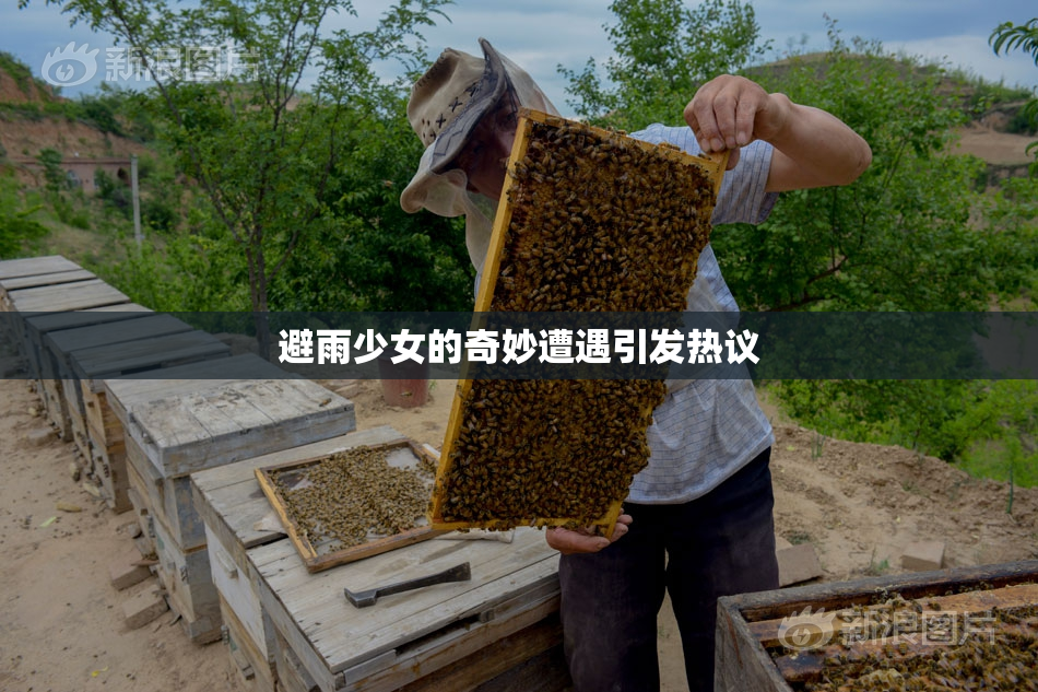 避雨少女的奇妙遭遇引发热议