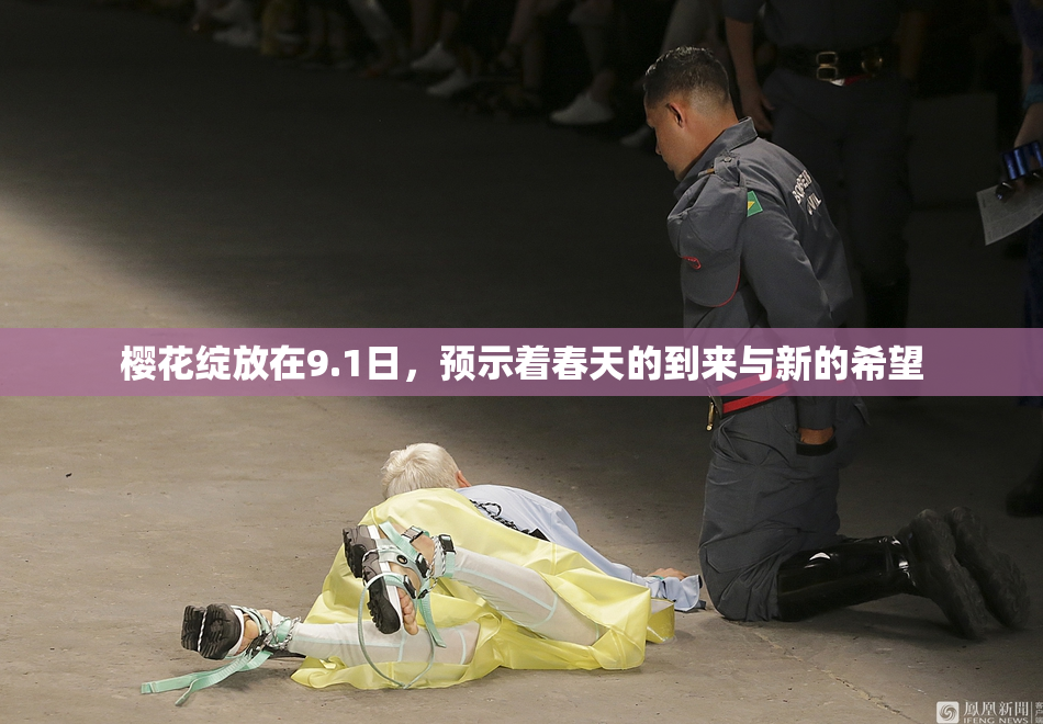 樱花绽放在9.1日，预示着春天的到来与新的希望
