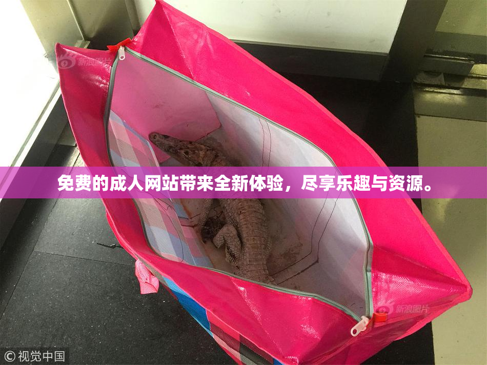 免费的成人网站带来全新体验，尽享乐趣与资源。